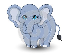 Cute Elephant cartoon vector set1 photo