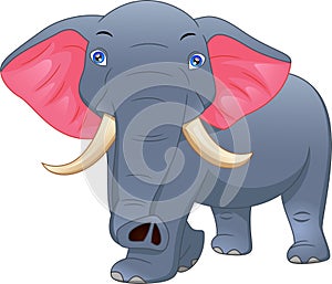 Cute elephant cartoon on a white background