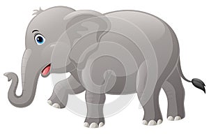 Cute elephant cartoon on white background