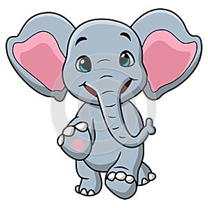 Cute elephant cartoon on white background