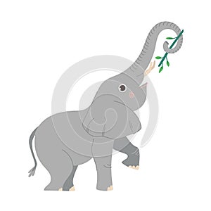 Cute elephant flat vector Illustration. Large cartoon mammal isolated on white