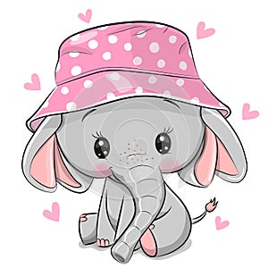 Cute Elephant in panama hat isolated on a white background