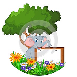 Cute elephant sitting with blank sign