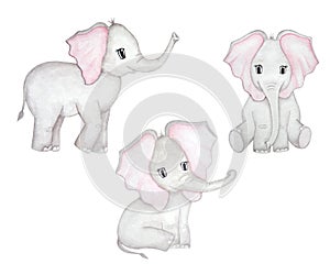 Cute elephant. Watercolor hand drawn illutration