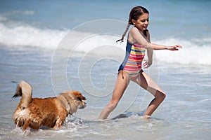 Cute Elo puppy runs in the sea after a pretty girl