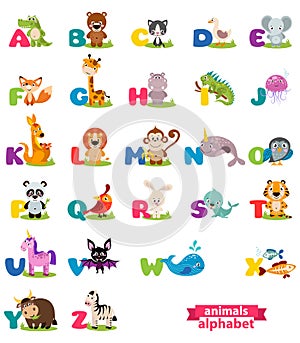 Cute english illustrated zoo alphabet with cute cartoon animal