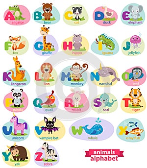 Cute english illustrated zoo alphabet with cute cartoon animal