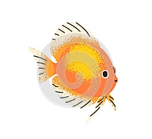 Cute exotic tropical fish swimming. Sea water animal, decorative ornamental aquarium creature. Small little discus