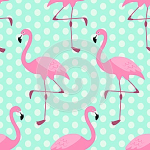 Cute exotic tropical seamless background with cartoon characters of pink flamingos