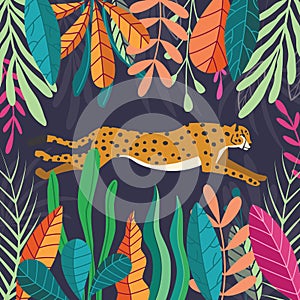 Cute exotic wild big cat cheetah running on dark tropical background with collection of exotic plants. Flat vector