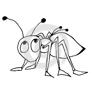Cute fabulous ant with outlined for coloring book isolated on a white background. Vector illustration of hand drawn black and whit
