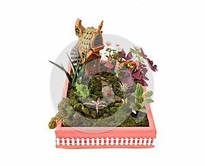 Cute Fairy Garden planted in a pink wooden box.