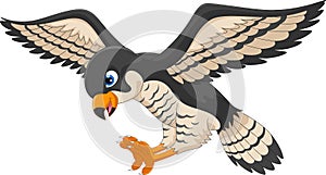 Cute Falcon cartoon flying . Illustration of Falcon bird
