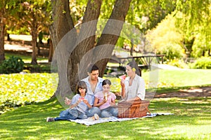 Cute family picnicking in the park