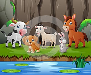 Cute farm animals cartoon in the jungle