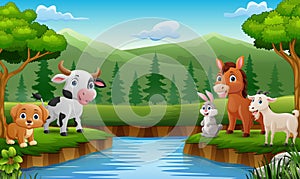 Cute farm animals cartoon in the jungle