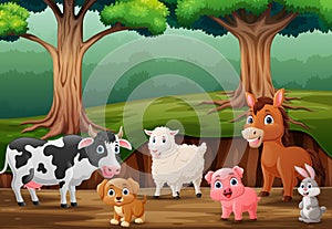 Cute farm animals cartoon in the jungle