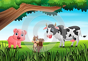 Cute farm animals cartoon in the jungle