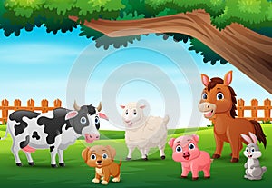 Cute farm animals cartoon in the jungle