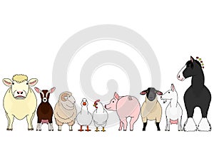 Cute farm animals  in a row