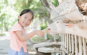 Cute farmer girl feeding baby goat