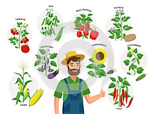 Cute farmer and his harvest around him. Set of vegetable plants and ripe fruits, tomato, chili pepper, sunflower, corn
