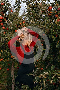Cute farmer woman in apples garden. Agriculture and gardening