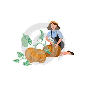 Cute farmer woman collect natural big pumpkin