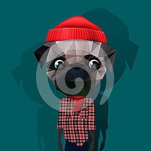 Cute fashion Hipster Animal