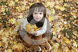 Cute fashionably dressed boy with maple leaves sitting on suitca