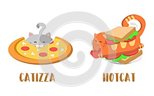 Cute fast food cats, Pizza cat and hot dog food with a cat. Kawaii vector cats.
