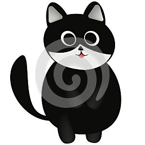 Cute fat black cat with pointed ears, big round eyes