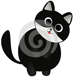 Cute fat black cat with pointed ears, big round eyes