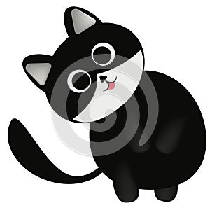 Cute fat black cat with pointed ears, big round eyes