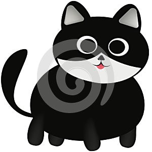 Cute fat black cat with pointed ears, big round eyes