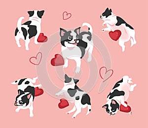 Cute fat dogs Puppy Animal set vector .