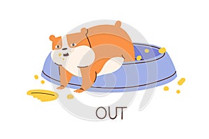 Cute fat hamster demonstrating English preposition of direction and place by climbing out its bowl. Funny animal with