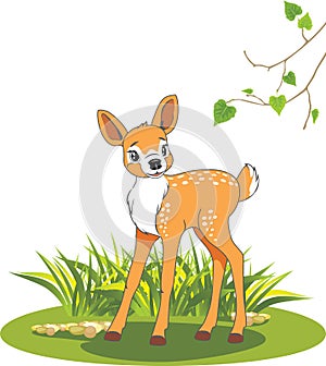 Cute fawn in the glade