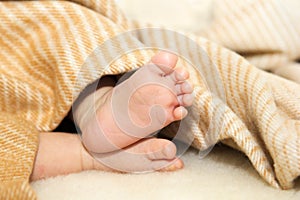 Cute feet of little newborn baby