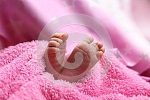 Cute feet of newborn baby on the blanket. The concept of love, health and care