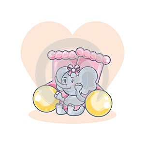 cute female elephant baby animal with socks