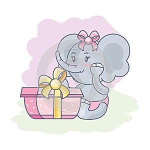cute female elephant baby with gift box