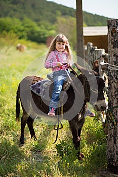 Cute fermer beautiful girl cowboy in jeans enjoying summer day in village life with flowers wearing leather cow hat happyly smilin