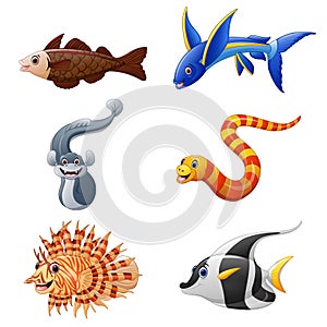 Cute fish collection set on white background