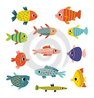 Cute fish. Different kinds of fish, vector