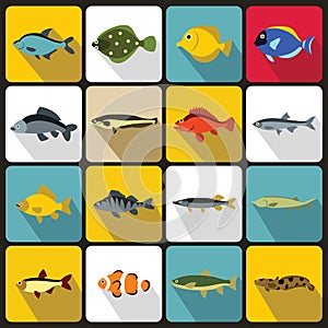 Cute fish icons set, flat style