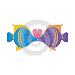 cute fish kiss