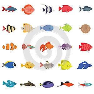 Cute fish vector illustration icons set. Tropical fish, sea fish, aquarium fish