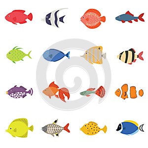 Cute fish vector illustration icons set. Tropical fish, sea fish, aquarium fish set isolated on white background.