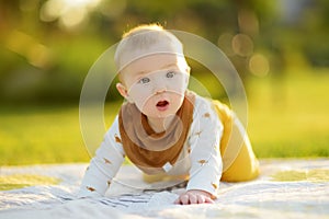 Cute five months old baby boy on his hands and knees on a blanket in a park on sunny summer day. Infant having fun outdoors.